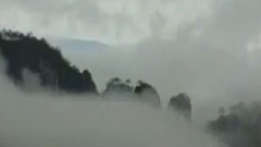 民乐群星,音乐短片 - 采茶忙
