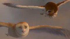 音乐短片 - Flight Of The Silverbird