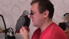 音乐短片 - Добрый,как сок Добрый