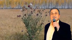 音乐短片 - Отговорила роща золотая МихаилКиселёв