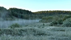 风景 - Утро над тайгой. фильм Михаила Киселёва