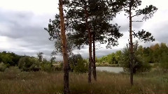 风景 - День уходящего лета. фильм Михаила Киселёва