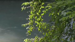 音乐短片 - Prova Settaggi Canon Legria