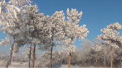 原创 - Siberian Winter Movie