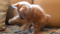 音乐短片 - ТИМКА Видеосъёмки Михаила