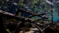 音乐短片 - СУПЕР ПОДВОДНЫЙ МИР