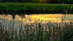 音乐短片 - ЛЕТНИЙ ВЕЧЕР фильм и музыка Михаила Киселёва