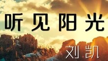  - 刘凯【听见阳光】20160131期