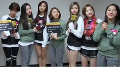 TWICE,志效(Twice) - 社长在看 TWICE 预告