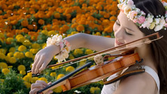 音乐短片 - Furano