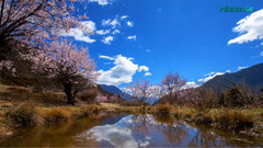 音乐短片 - The Secret Legend of Tibet