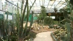 音乐短片 - 海上花