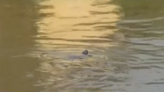 音乐短片 - 一朵小花