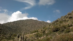 音乐短片 - High Valley By Alexandro Querevalu & Quillapas