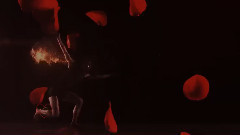 音乐短片 - 卢卡斯塔诺斯火与玫瑰