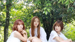 Apink - Apink Diary2 Special (Season Greeting)