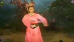 吴静 - 女儿情