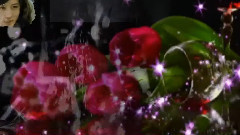 音乐短片 - Love You With All My Heart