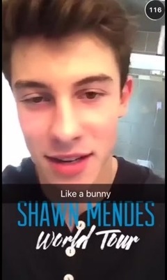 Shawn Mendes - Snapchat更新World Tour