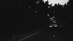 欧美群星 - Permission