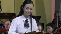 民乐群星 - 帕格尼尼主题变奏曲