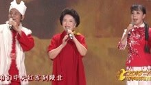  - 山丹丹花开红艳艳 央视春晚现场版 2016/02/07