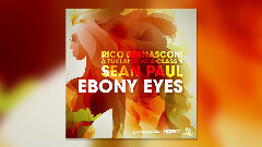 欧美群星 - Ebony Eyes
