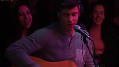 Shawn Mendes - Stitches