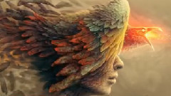 音乐短片 - 2015年度最佳舞曲