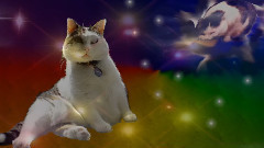 音乐短片 - A-Nova Returns ticklin your sweet tooth! Sir Snowy