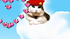 音乐短片 - SIR SNOWY THE ITALIAN-CATS-A-NOVA'S DREAM