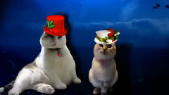 动漫专属 - SIR SNOWY'S HOLIDAY MAGIC!