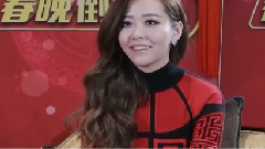 张靓颖 - 辽宁卫视春晚倒计时 张靓颖CUT