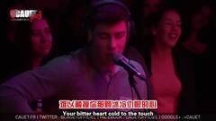 Shawn Mendes - Stitches