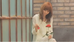 After School - Play ur Love&Shampoo& Flashback& First Love