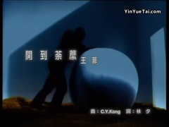 王菲 - 开到荼蘼