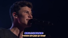 Shawn Mendes - Stitches