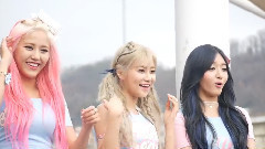 AOA,AOA CREAM - AOA CREAM 粉丝见面会