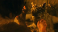 欧美群星 - The Cat With Hands