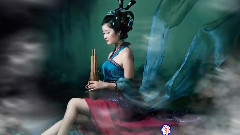 音乐短片 - 披着羊皮的狼