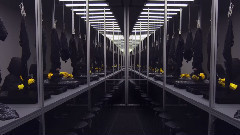 音乐短片 - Work With Me People Part III