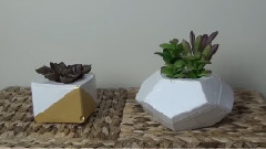 音乐短片 - DIY Concrete Planters