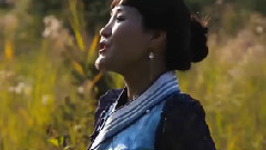 华语群星,民乐群星 - 可爱的家乡