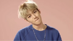 边伯贤(EXO),EXO - 2016 SPAO S-S 伯贤 Ver.