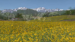 音乐短片 - 造物与天籁