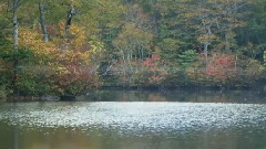 音乐短片 - 造物与天籁4