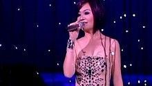 梁静茹 - 会呼吸的痛 今天情人节2008演唱会 现场版