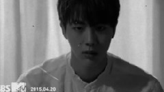 JIN(防弹少年团),防弹少年团 - 那个人之金硕珍