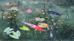 音乐短片 - 安妮的仙境 - 班得瑞