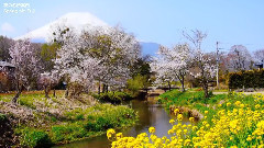 音乐短片 - The Ludlows